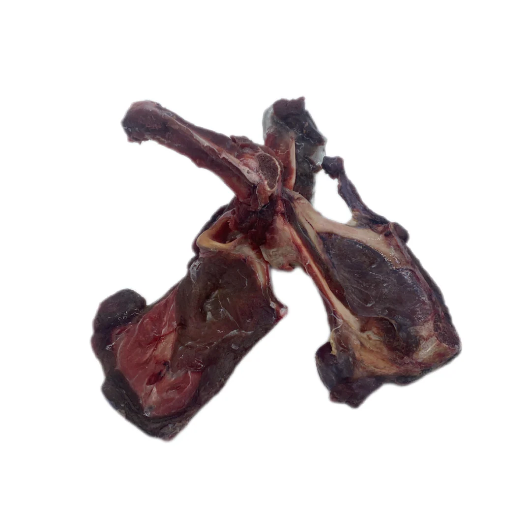 Kangaroo